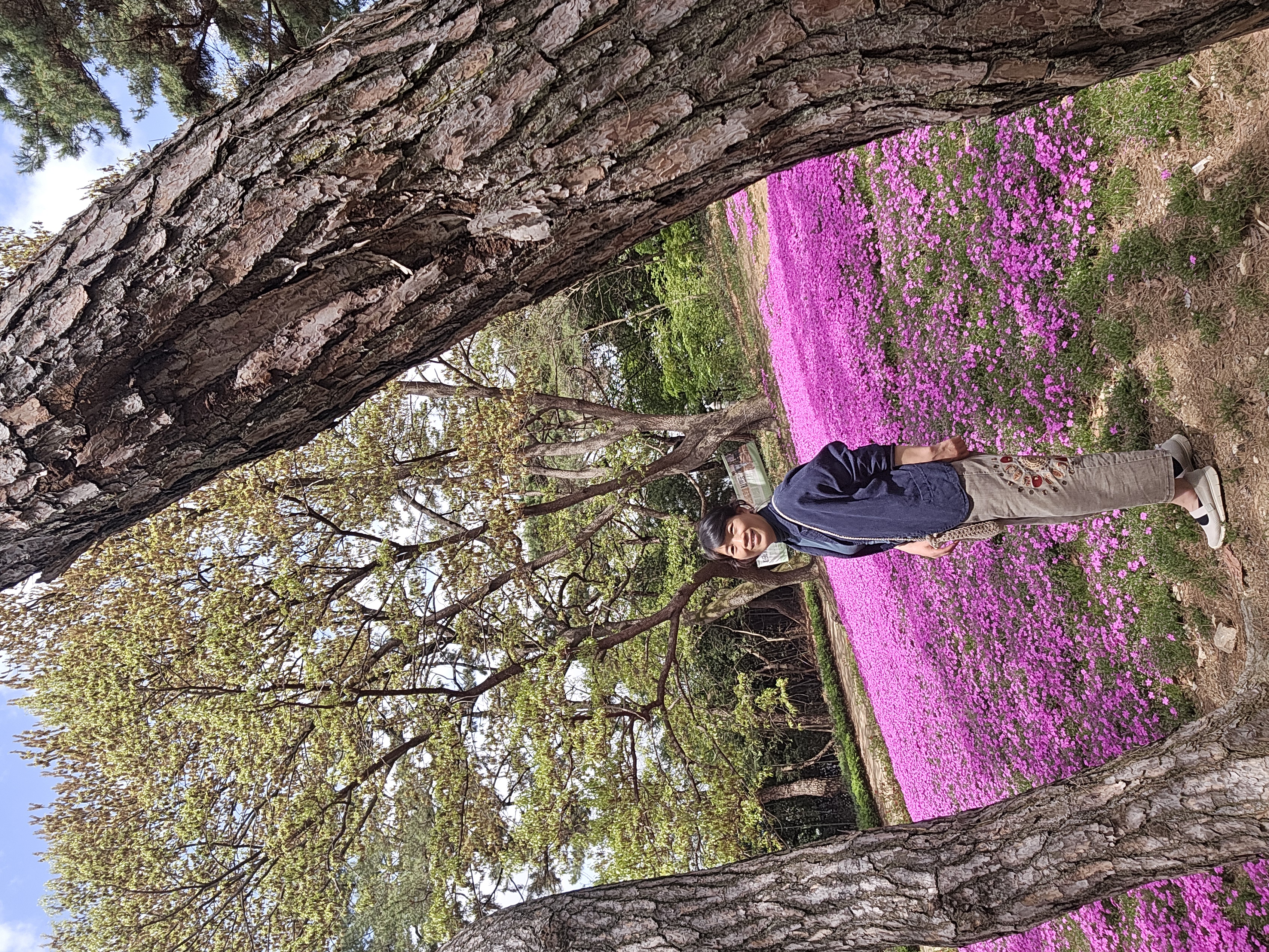 이미지 미리보기