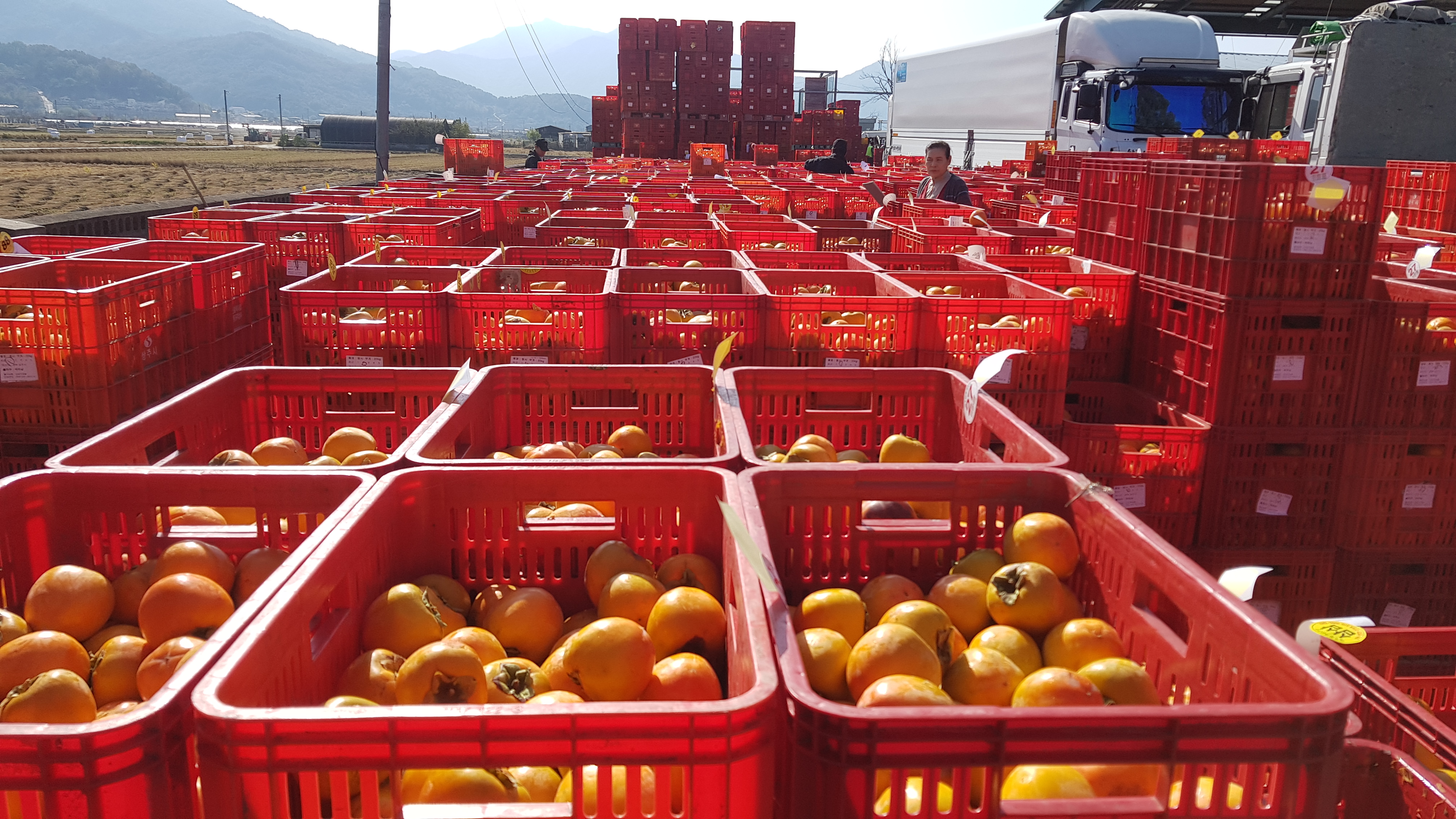 이미지 미리보기